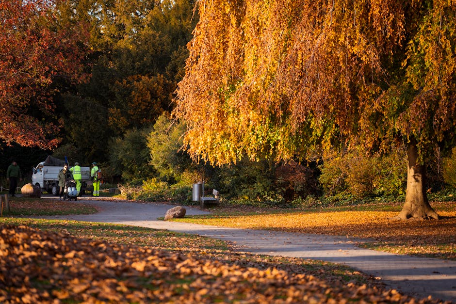 Valentines Park rubbish removal guide for Ilford homes